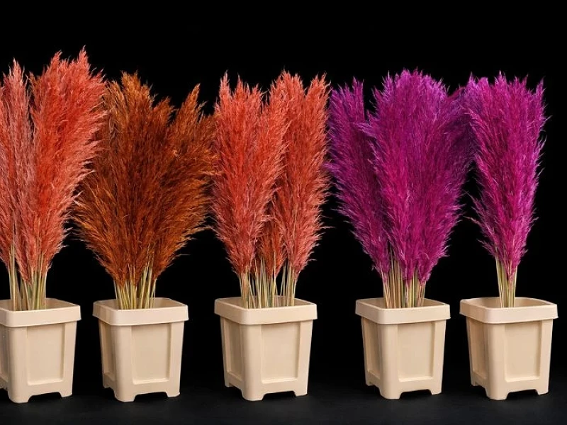 Decoratie